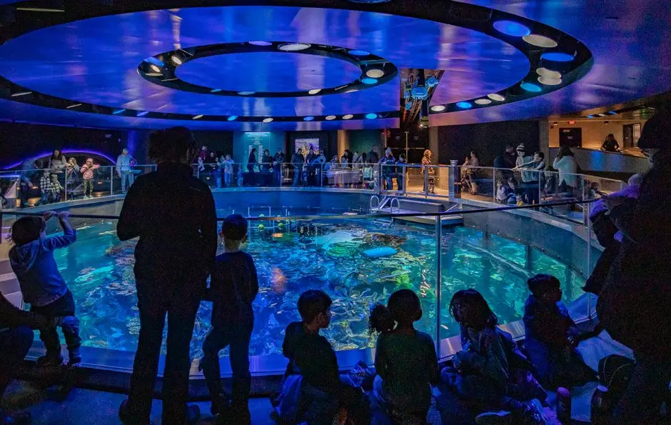 Children visiting the New England Aquarium