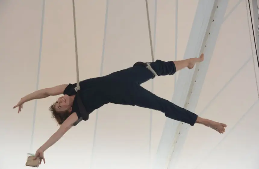 Adult Aerials