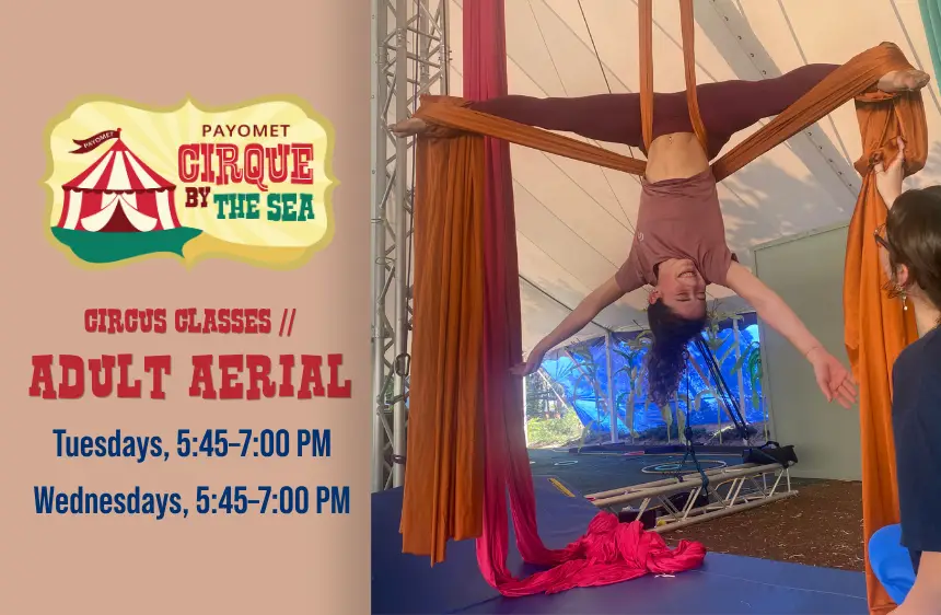 Circus Classes-Adult Aerial